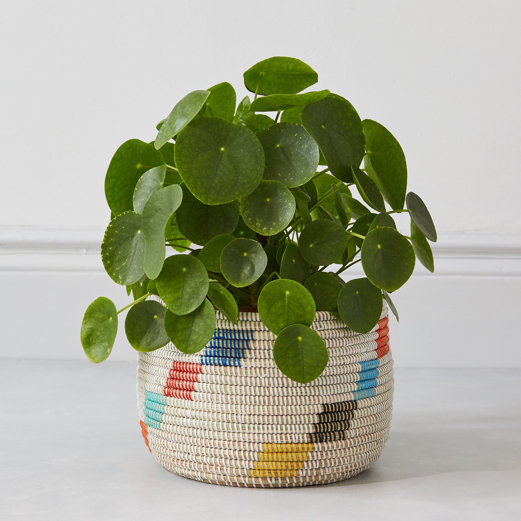 La Basketry