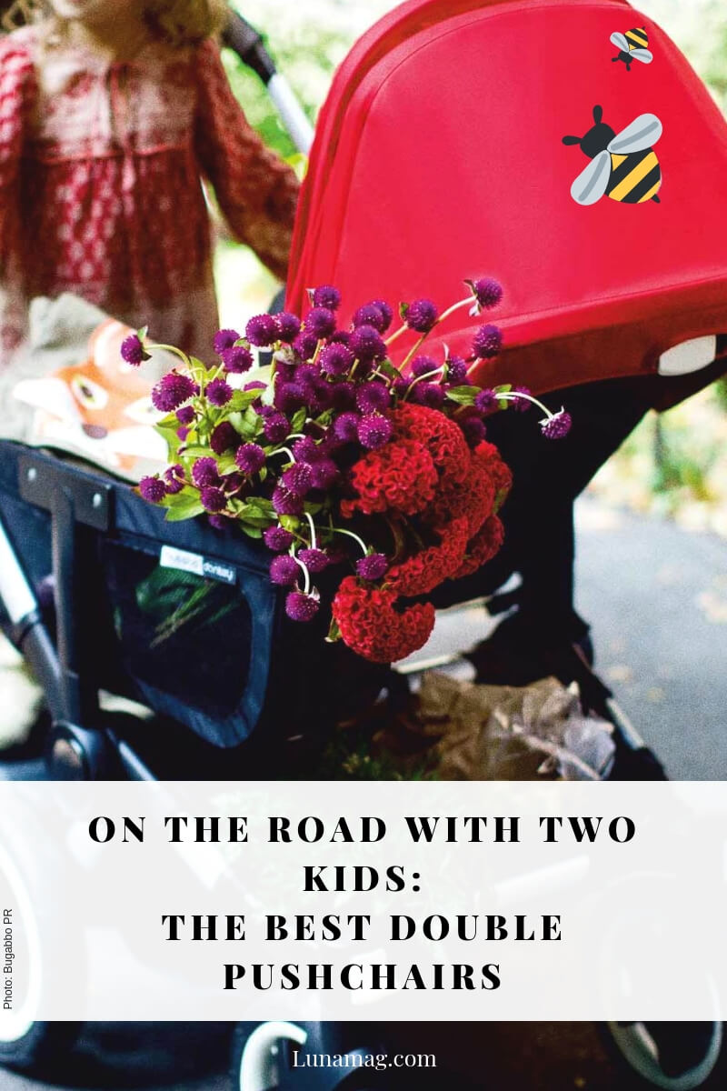 The best double pushchairs