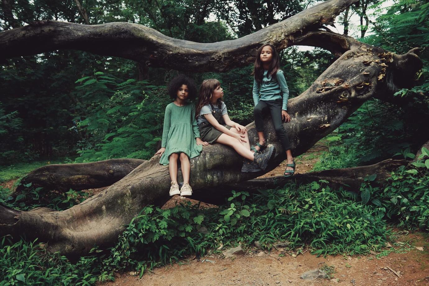 Tree Huggers