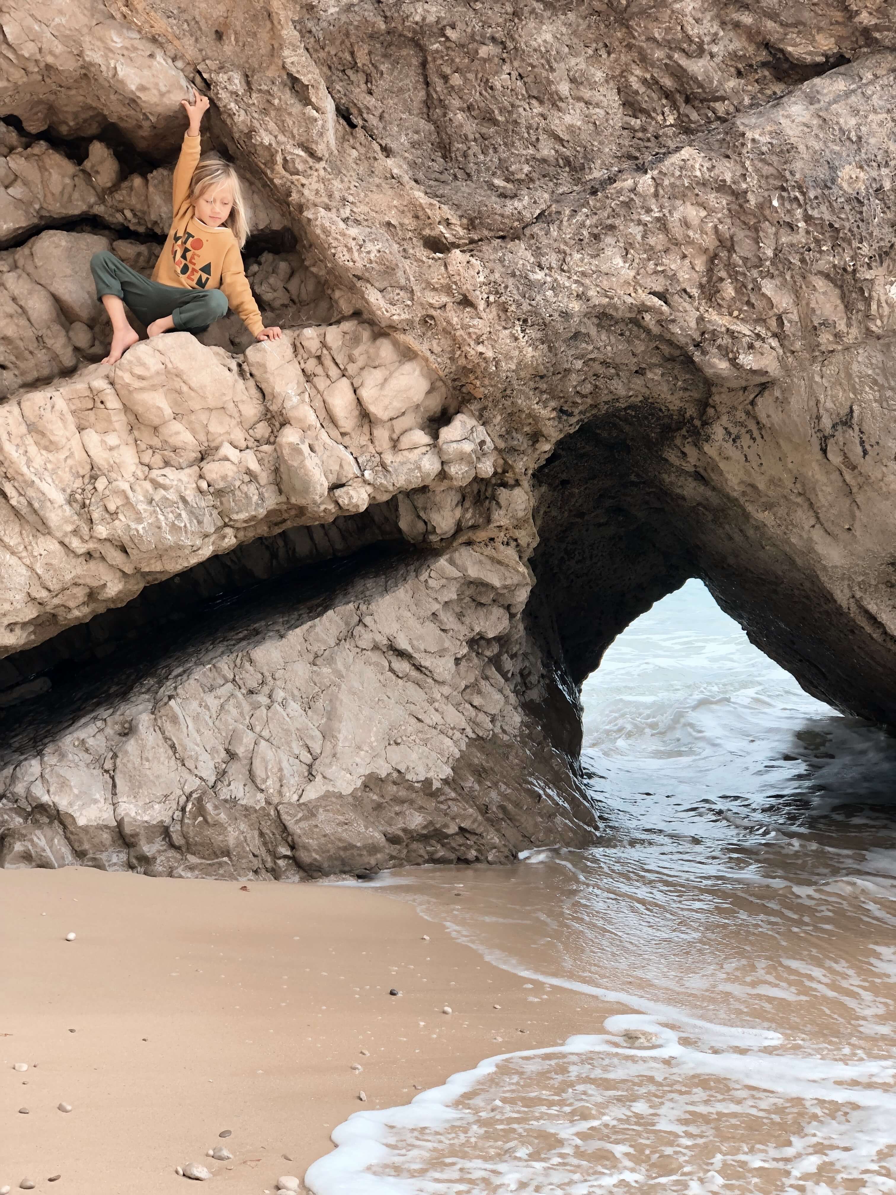 wild free editorial